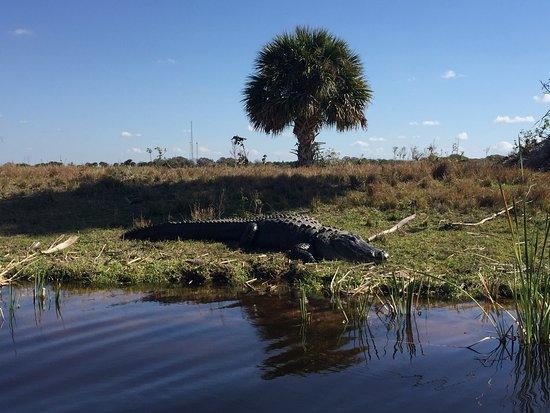 Eagle Bay Airboat Rides